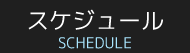 スケジュール